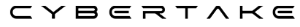 Cybertake